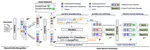An Iteratively Parallel Generation Method with the Pre-Filling Strategy for Document-level Event Extraction